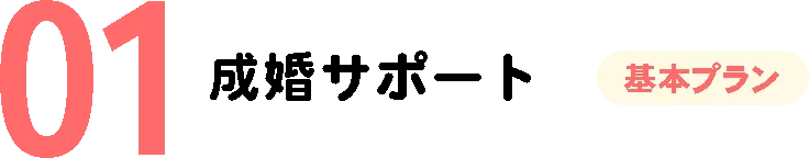 成婚サポート